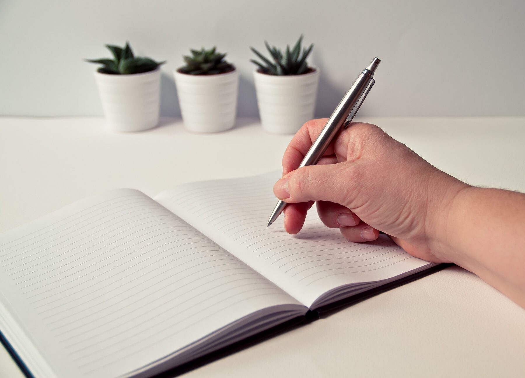 Portfolioteksten Terra Cacti